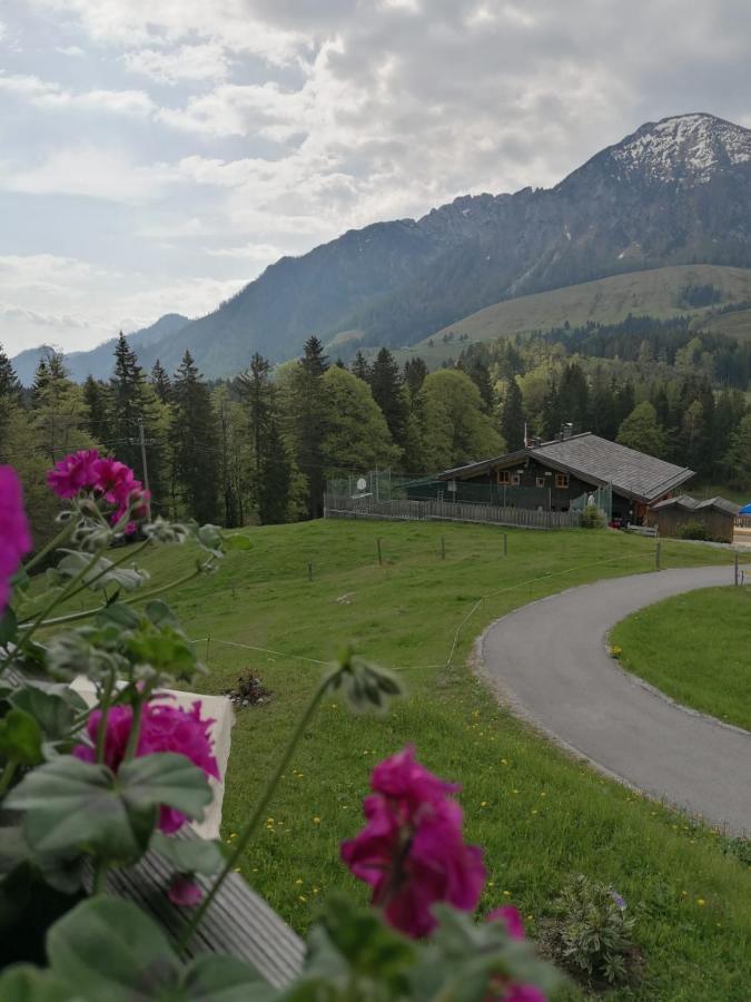Haus Obweg - Postalm Aparthotel ฮัลล์ไอน์ ภายนอก รูปภาพ