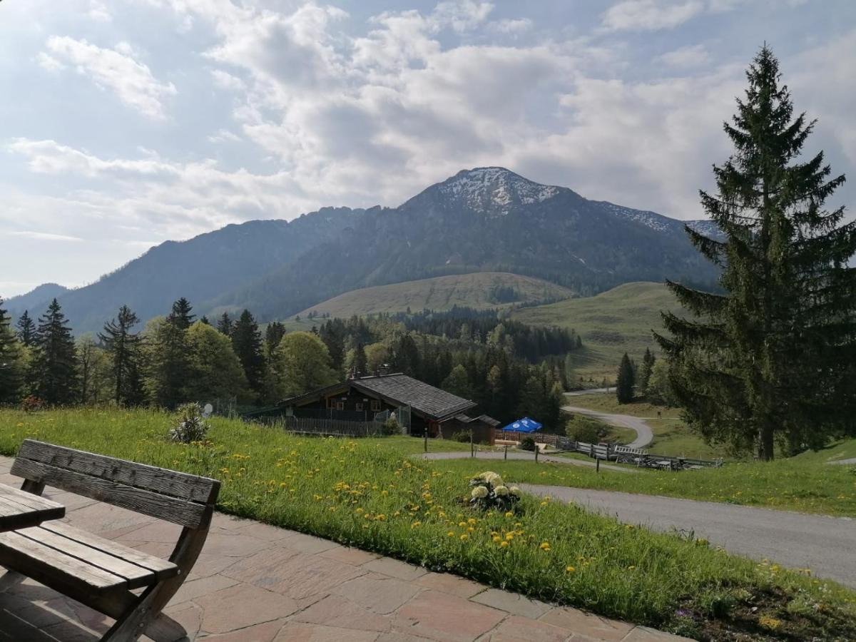 Haus Obweg - Postalm Aparthotel ฮัลล์ไอน์ ภายนอก รูปภาพ