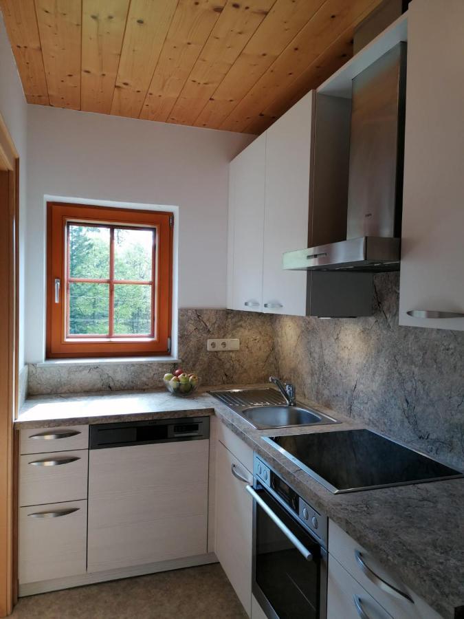 Haus Obweg - Postalm Aparthotel ฮัลล์ไอน์ ภายนอก รูปภาพ