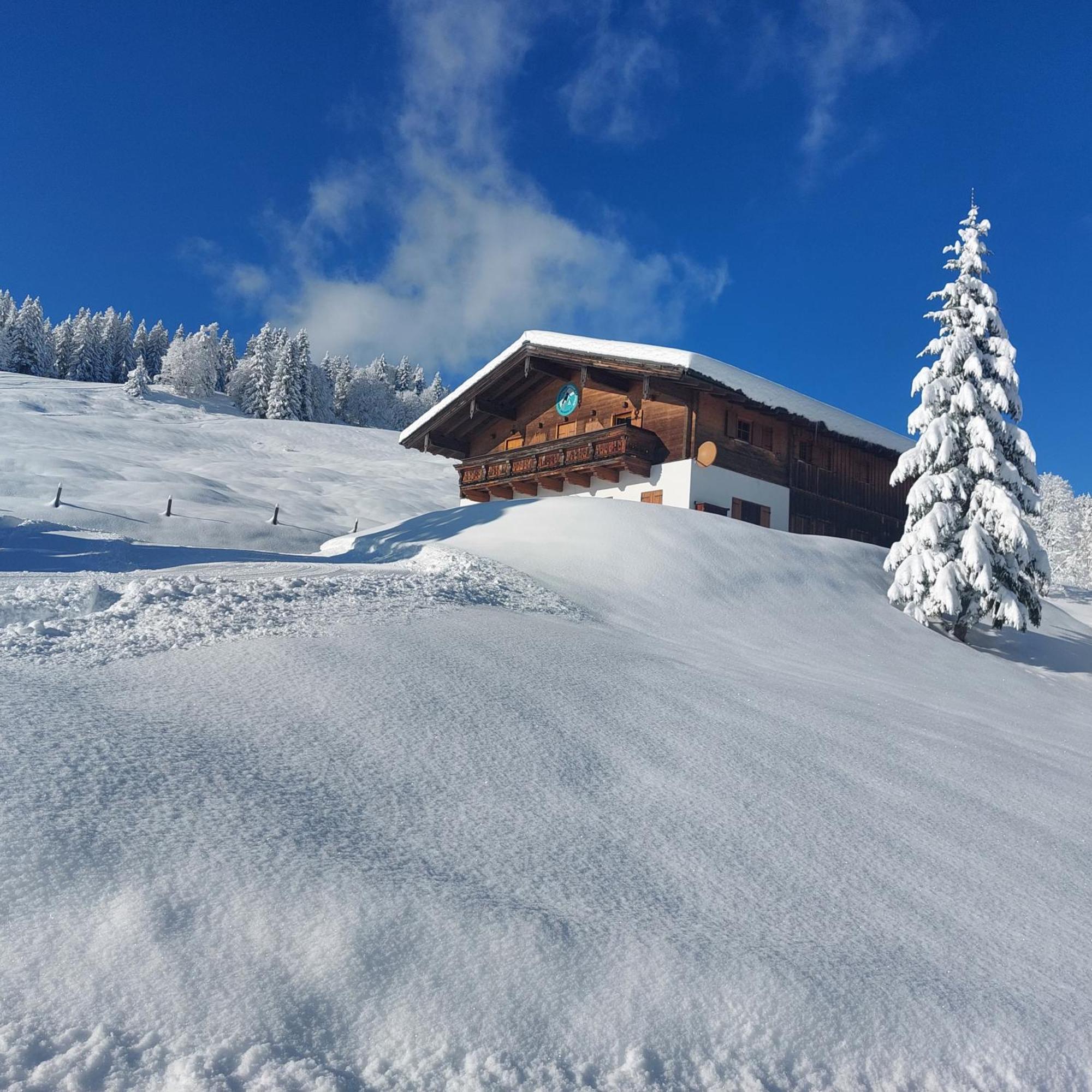 Haus Obweg - Postalm Aparthotel ฮัลล์ไอน์ ภายนอก รูปภาพ